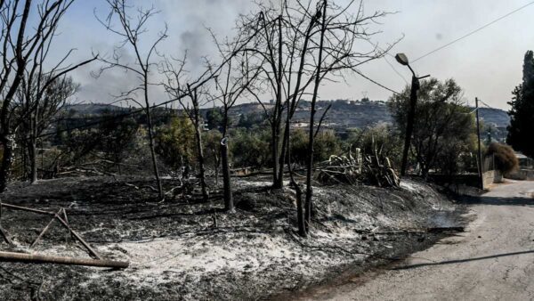 Φωτιά Αχαΐα