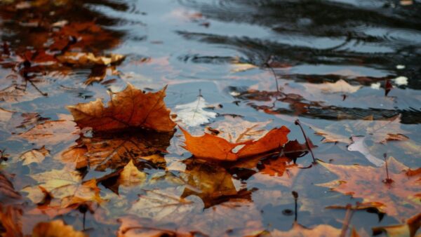 Καιρός Σεπτεμβρίου