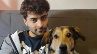 Δημήτρης Λιοπέτας