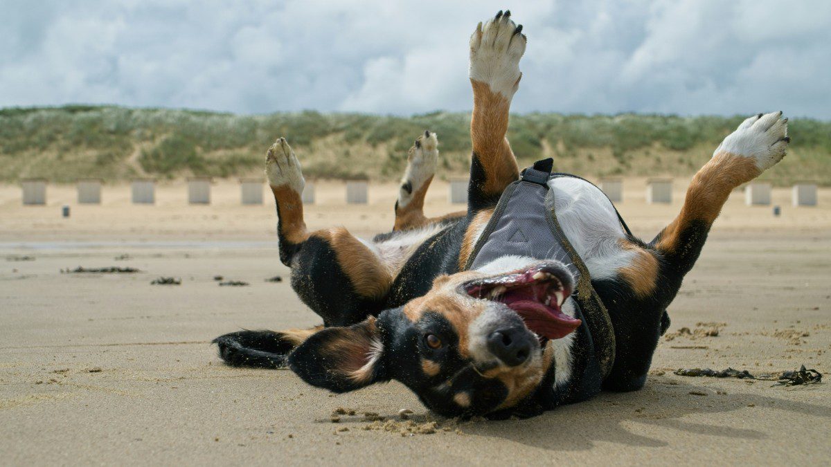 Εορτολόγιο
