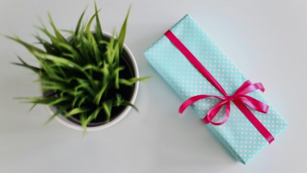 μια γλαστρα κι ενα δώρο