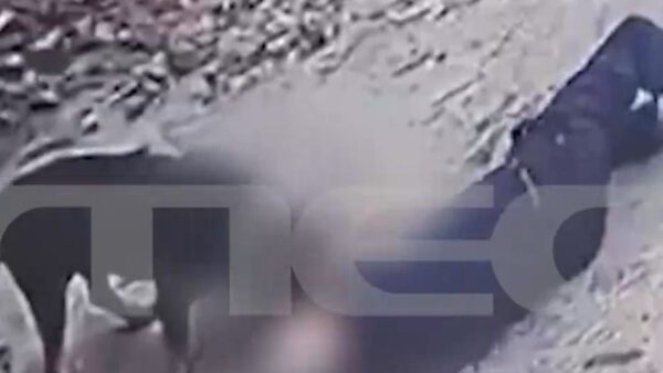 Ροτβάιλερ επίθεση