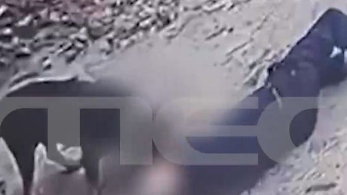 Ροτβάιλερ επίθεση