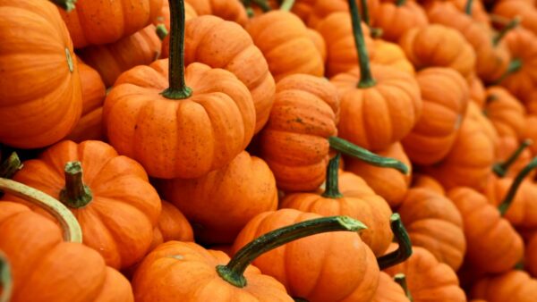 Εορτολόγιο