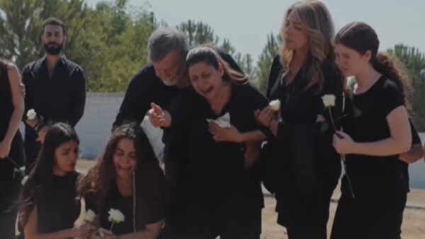 Η γη της ελιάς