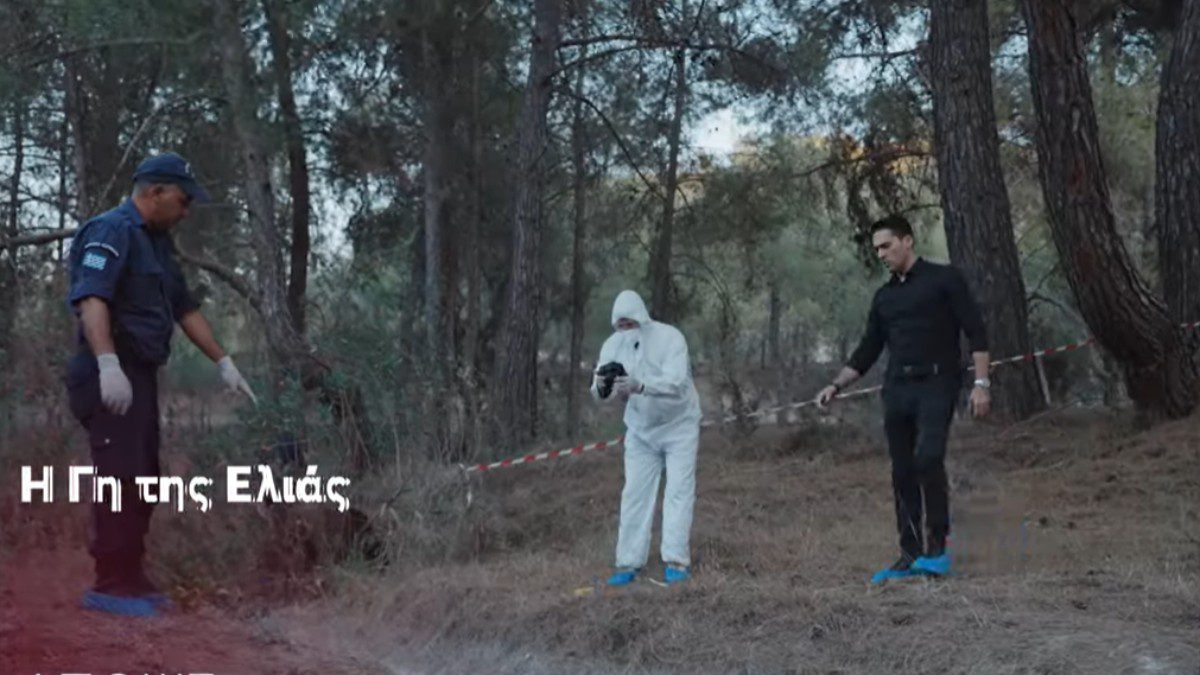 Η γη της ελιάς