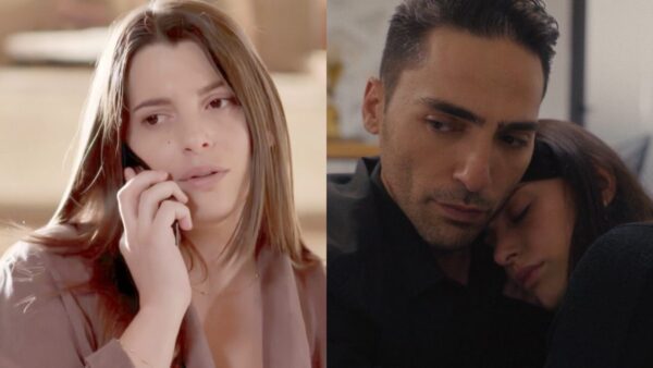 Η γη της ελιάς