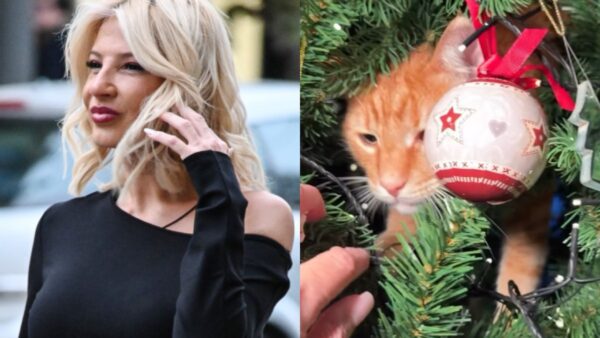 Η Φαίη Σκορδά και ο γάτος της