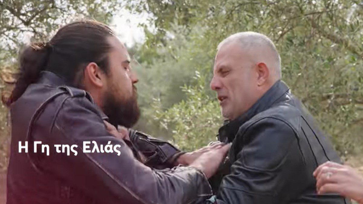 Η γη της ελιάς