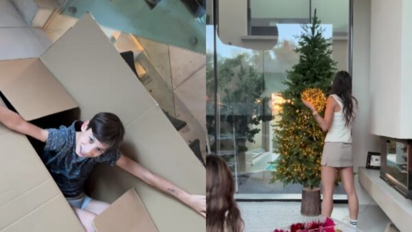 Καράβας Ψαρρού δέντρο