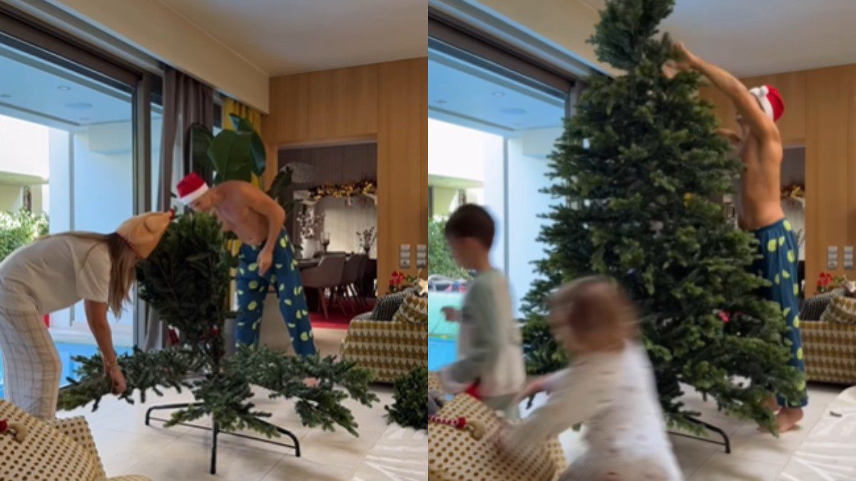 Οικονομάκου δέντρο