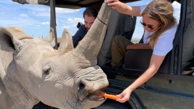 Ο Φίλιππος Ντε Γκρες και η Νίνα Φλορ στην Αφρική
