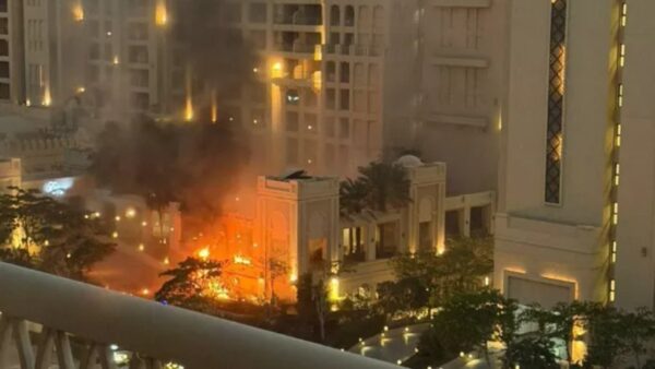 Πάλμ Τζουμέιρα