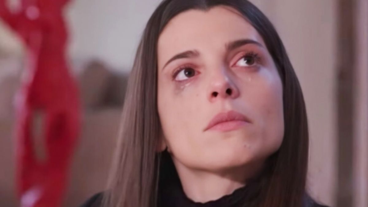 Η γη της ελιάς